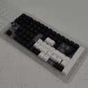 Womier Double Shot PBT Keycaps Set 138 Keys, Cherry Profile Custom Keycaps 138  Percent for 61/64/68/84/87/100/104/108 Retro Gaming Mechanical Keyboard, Black White 