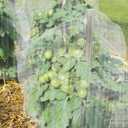 MR FIVE 4 Pcs Bird Barrier Netting Mesh with Drawstring,Plant Cover Bags Bird Netting Mesh for Fruit Trees,Reusable Garden Netting Mesh with Drawstring for Fruit Tree Vegetable Flower,3.8 ft x 2.6 ft