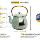 Tea Kettle, TOPTIER Japanese Cast Iron Teapot with Infuser for Loose Leaf and Tea Bags, Stovetop Safe Cast Iron Tea Kettle Coated with Enameled Interior for 40 oz (1200 ml), Light Green