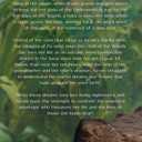 Born in the Wayeb: Book One of The Mayan Chronicles