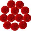 XFYUZR Yarn Pom Poms for Hats Giant Pom Pom Ball 8CM-3INCH Party Supplies Handmade Craft Decorative Accessories (Red)