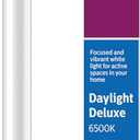 Philips Plug and Play 32W Equivalent 48 in. Daylight Deluxe Type A T8/T12 LED Tube Light Bulb (10-Pack)