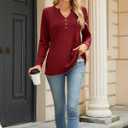 Bestbee Women's Long Sleeve Tunic Tops Pleated Button-Down Shirts 2024 Fall Tops V Neck Dressy Blouses Casual T-Shirts (Blue, XXL)