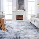 Area Rugs 9x12 Living Room: Gray Shag Rug 9x12 Area Rugs - Large Plush Fluffy Carpet for Bedroom,Living Room(Tie-Dyed Light Gray)