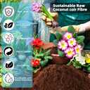 Coco Coir Bricks 6 Pack Premium 100% Organic Peat Moss, Fiber Coconut Husk for Planting, Gardening, Potting Soil Substrate