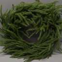 26 Inch Christmas Wreath for Front Door, Thickened Norfolk Pine Wreath Outdoor Indoor - Large Artificial Green Wreaths for Windows, Walls, Farmhouse Christmas Decorations