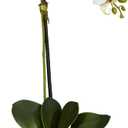 Nearly Natural 20in. Orchid Artificial Arrangement in Black Planter, White