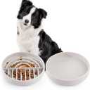 Slow Feeder Bowls Set for Medium Dogs & Puppies - Silicone Non-Slip Food & Water Bowls, Promotes Healthy Digestion, Dishwasher & Microwave Safe, 2 & 5 Cups (Gray)