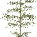 LYERSE Black Olive Tree 7ft - Faux Black Olive Tree with Natural Trunk and Realistic Leaves - Artificial Shady Lady Tree for Modern Home Office House Living Room Decor
