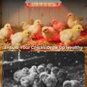 300W Dual-Mode Heat Lamp for Chickens - Long-Lasting Chicken Coop Heater & Chick Brooder Kit Companion, Safe Design with 7.87ft Cord for Poultry, Ducks, and Other Livestock