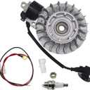 Flywheel with NGK Plug Coil Kit for Stihl MS660 066 Chainsaw 1122 400 1217