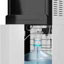 Avalon Bottom Loading Water Cooler Dispenser - Hot & Cold Water, Child Safety Lock, Innovative Slim Design, Holds 3 or 5 Gallon Bottles - UL Listed- White
