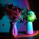 Sunset Lamp Projection, Sunset Night Light Rainbow Projector 180° | Photography, Decorative, Party Decor, Gift for Women (rainbow colors)