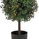 National Tree Company 2 ft Prelit Artificial Boxwood Single Ball Topiary with 50 Clear Lights, Realistic Fake Tree Potted Plant, Matte Black Nursery Pot