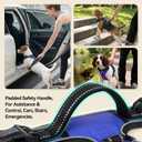 PHOEPET No Pull Dog Harnesses for Small Puppies Reflective Adjustable Front Clip Vest with 2 Metal Leash Attachment Hooks Soft Handle [Over The Head Design](L, Royal Blue)