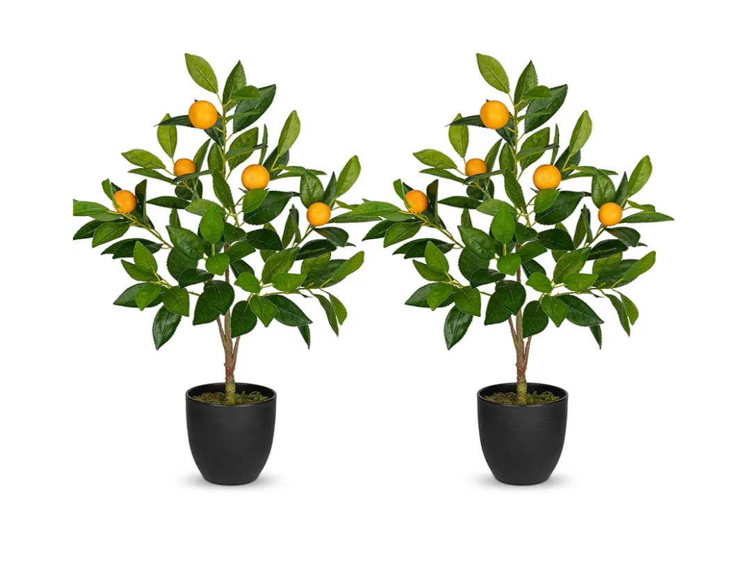 2Ft Artificial Orange Trees, 2 Packs Large Artificial Plants Indoor with Black Pots Faux Potted Citrus Trees Fake Floor Plants Lemon Decorations for Home Living Room Office, Bedroom Table, Desk