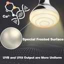 LUCKY HERP 125 Watt UVA+UVB Vapor Heat Lamp Bulb, High Intensity Self-Ballasted Heat Basking Lamp/Bulb/Light for Reptile and Amphibian, Sun Lamp for Bearded Dragon Lizard Turtle