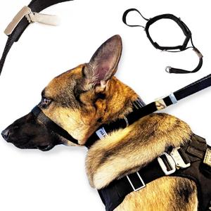 PetsProMax No-Pull Dog Headcollar for Large Dogs (Size L) - Instantly Stops Pulling, Comfortable & Safe Training Collar, Gentle on Your Dogs Nose and Head; No-Pull Dog Collar in Black (L)