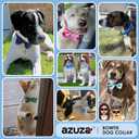 Azuza Anchor Dog Collar with Bow Tie, Soft and Comfortable Adjustable Bowtie for Medium Dogs