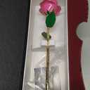 Gold Rose 24K Plated Gold Dipped Rose, Forever Preserved Rose Flowers with Stand, Romantic Gift for Valentine's Day and Mothers Day, Anniversary, Birthday,Gifts for Her,Wife, Girlfriend