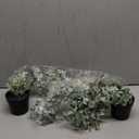 Der Rose 2Pcs Fake Plants Hanging Artificial Decor Faux Potted Eucalyptus and Pea Pod Plants for Boho Bathroom Home Office Desk Wall Shelf Bookcase Accessories Decor Indoor (Grey)