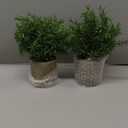 2 Pack Small Fake Plants Rosemary Potted Artificial Plants for Shelf Desk Home Bathroom Farmhouse Room Coffee Table Decor (Green)