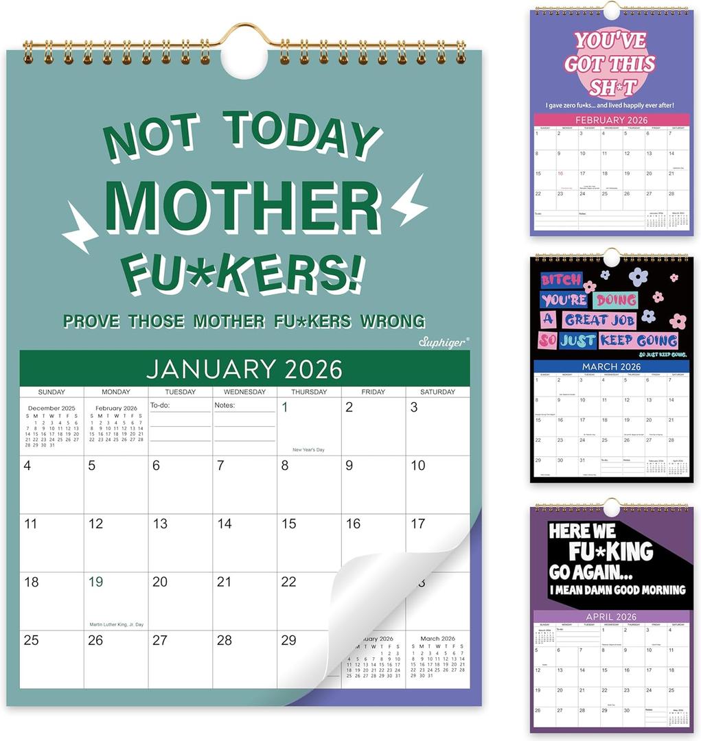 2026 Calendar - Funny Calendar, 11.5" x 8.5", JAN 2026 - DEC 2026, 2026 Wall Calendar with Twin-Wire Binding + Hanging Hook + Thick Paper + Unruled Blocks with Julian Dates, Fu*ck It Calendar 2026 with 12 Themes