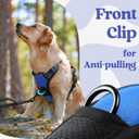 Rabbitgoo Dog Harness Medium Sized, No Pull Pet Harness with 3 Buckles, Adjustable Soft Padded Vest with Control Handle, Walking Reflective Pet Vest for Medium Dogs, Blue, M