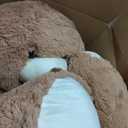 Teddy Bear Cushion