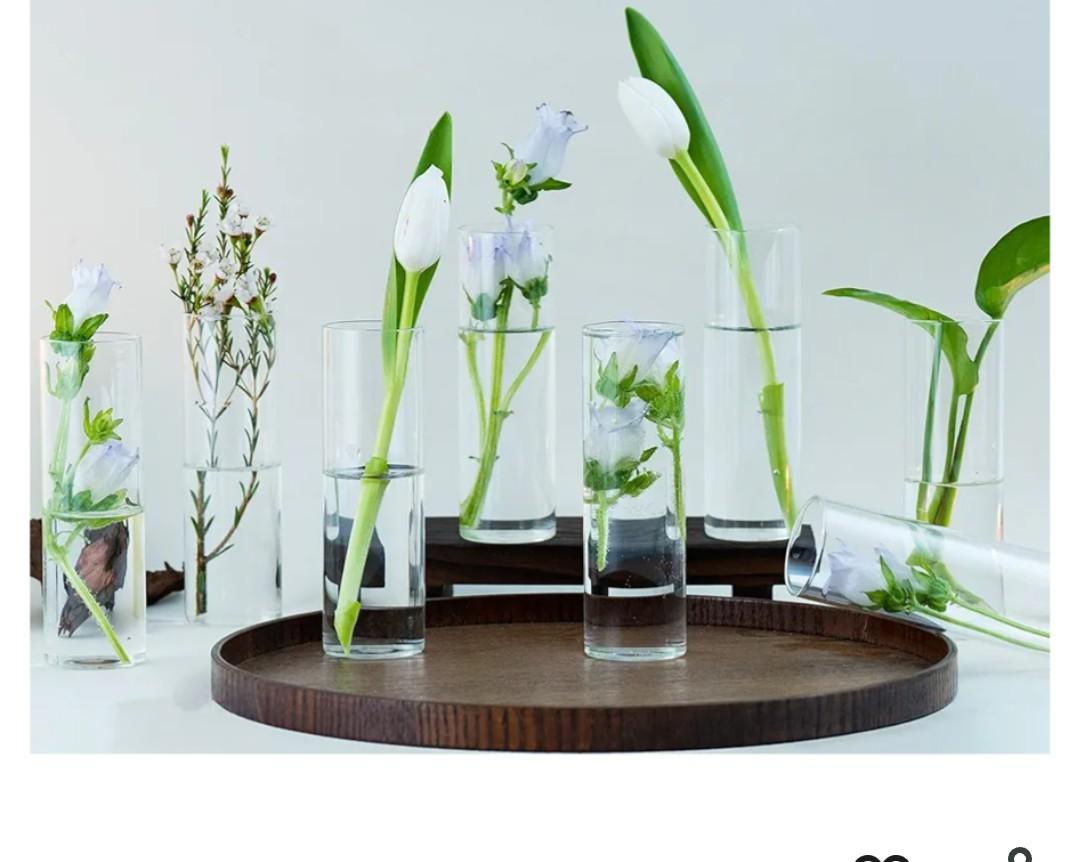 Propagation Stations Tubes Set of 8, Bud Propagation Vases for Plants, Hydroponic Terrarium Decor, Glass Planters for Indoor Plants, Glass Vase for Home Table Decorations