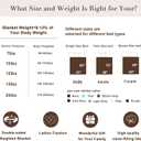 Alomidds Weighted Blanket Queen Size 20lbs 60 x 80 inches,Adult Weighted Blankets with Soft Plush Fleece,Fluffy Thick Warm Sherpa & Cozy Flannel Microfiber Heavy Blanket for Sofa Bed,Pink