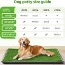 LOOBANI Large Dog Grass Pad with Tray - 35x23in Dog Litter Box with 2 Artificial Grass Patch + 2 Washable Pee Pads - Quickly Absorbency Indoor Outdoor Potty for Patio Balcony Apartment Use