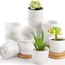 Tosnail 12 Pack 2.5 Inch Small Succulent Pots with 12 Bamboo Trays, Round White Ceramic Mini Plant Pots, Tiny Succulent Planters, Cactus, Flower, Air Plant Containers, Modern Home and Office Decor