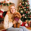 Valentines Day Dog Bandana with Unique Quick-Release Buckle and Retractable Design,Triangle Reversible Bibs Breed for Dogs,Red Plaid Bandana with Christmas Santa(XL)