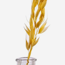 Set of 4 Bud Vases Small Glass 6.2cm - Clear