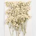 60 Pieces Dried Flowers Dried Flower Real Dried Pressed Flowers for Jewelry Candle Card Making DIY Resin Ornaments Nail Art Flowers Decorations (Babysbreath)