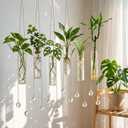 Hushee 6 Pcs Hanging Propagation Stations with Crystal Suncatcher Glass Hanging Wall Planters Indoor Plants Hydroponic Tubes for Plants Flowers Windows Home Decoration
