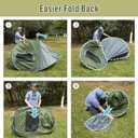 Night Cat Pop-up Camping Tent: 2 Person Tent Waterproof Instant Easy Setup Family Tent