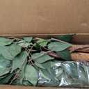 5ft Ficus Artificial Trees with Natural Curved Trunks, 60" Tall Lush Faux Tree for Home Decor Indoor, Green Lifelike Fake Ficus Tree Artificial Plants
