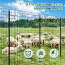 FOREHOGAR Metal Fence Post Black Splicing 6 feet, Pack of 15, T Posts for Fences Wire Mesh, No Dig Steel Stakes Fencing for Garden Yard Farm Outdoor Light Duty