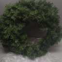 National Tree Company 24 in Pre-Lit Norwood Fir Artificial Christmas Wreath, Christmas Decoration with 50 Clear LED Lights, 250 Tips, Timer, Green