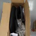 BestOffice | Ergonomic Office Chair | Mid-Back Swivel Desk Chair | Breathable Backrest & Lumbar Support | Adjustable Height | Sponge Seat | Rolling Wheels | Black | for Adults & Women