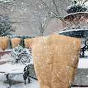 Large Burlap Sack 71x43 Inch Burlap Bags Plant Covers with Drawstring, Reusable Burlap Wrap for Outdoor Plants Garden Trees Shrubs Bushes Cover