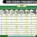 Wagner's 62067 Deluxe Treat Blend Wild Bird Food, 4 Pound (Pack of 1)