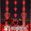 YOUNGAR Valentine's Day Heart Window Lights, 5FT 65LED Battery/USB Powered with Timer, Waterproof with 8 Modes Memory for Home Bedroom Birthday Party Indoor Outdoor Decor, Red