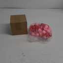 Leitee 60 Pcs Valentine Heart Stress Balls Bulk Foam Stress Relief Balls Mini Round Squeeze Balls for Valentines Party Favors Toys Classroom Prize Present Fillers Gifts (Red,Pink)