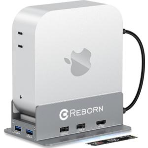 Reborn Mac mini M4 Dock & Stand with NVMe SSD Enclosure, Mac Mini M4 Hub with 4K60Hz HDMI, 4K60Hz DP, 5G USB A*2, USB A 2.0*2, TF/SD Card Reader 9-in-1 USB Hub for Mac mini M4,Mac mini M4 Pro - Silver