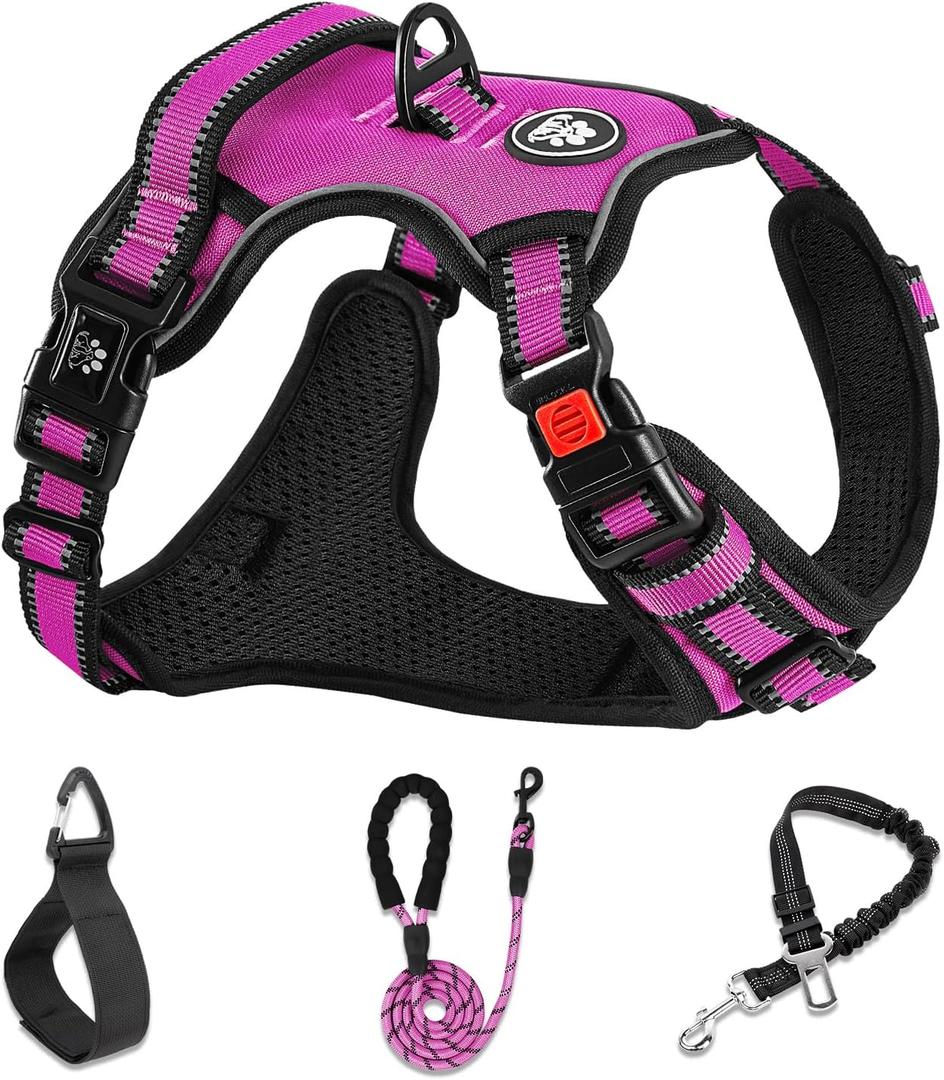 NESTROAD No Pull Dog Harness,Adjustable Oxford Dog Vest Harness with Leash,Reflective No-Choke Pet Harness with Easy Control Soft Handle for Small Dogs(Small,Fuchsia Pink) (Sneck 11-15" chest 15-21")