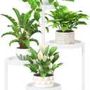 iDavosic.ly 4 Tier Folding Plant Stand Indoor Outdoor with Plastic Tray, Tiered Corner Flower Holder Shelf, Metal Orchid Display Rack for Patio Porch Living Room Garden Balcony, White