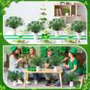 Nitial 4 Pcs St. Patricks Day Decorations St. Patrick's Shamrock Picks Vase Artificial Clover Branches Berry Stems Decoration for Table Centerpiece Floral Arrangements Party Irish Vase Decor